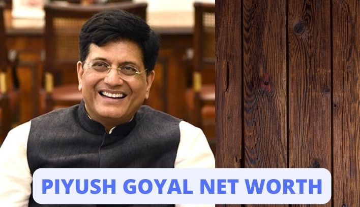 Piyush Goyal Net Worth